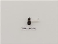 藏品(鞘翅目(三))的圖片